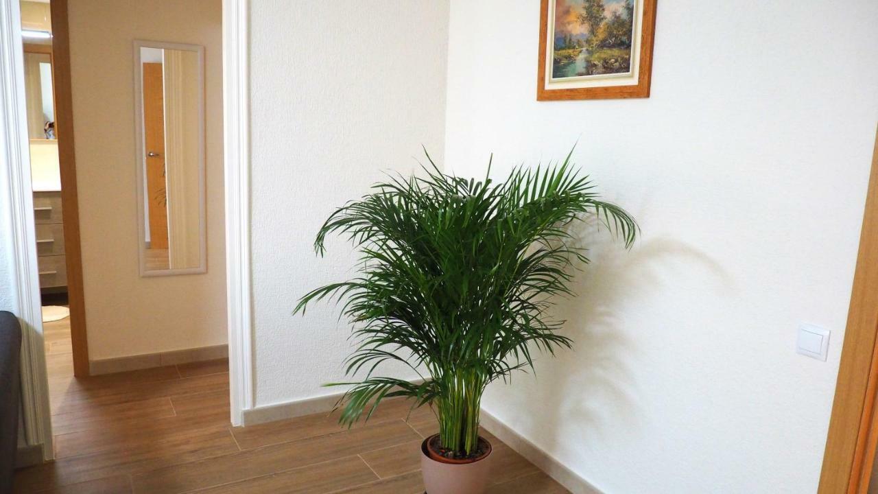 Apartamento En Ani Alicante Eksteriør bilde